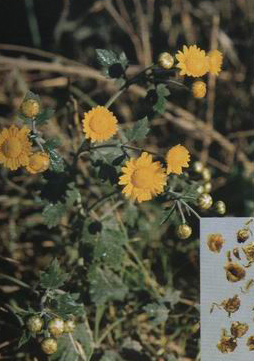 ����ջ�����ˎ���ͽ���