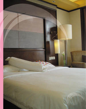 �Ƶ겼�݉������Ɠp��ԭ��