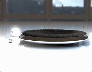 _ĄҾƷ