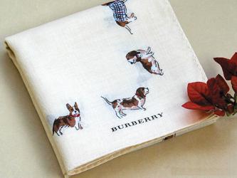 ���������جF(xi��n)��ζ�h(hu��n)������