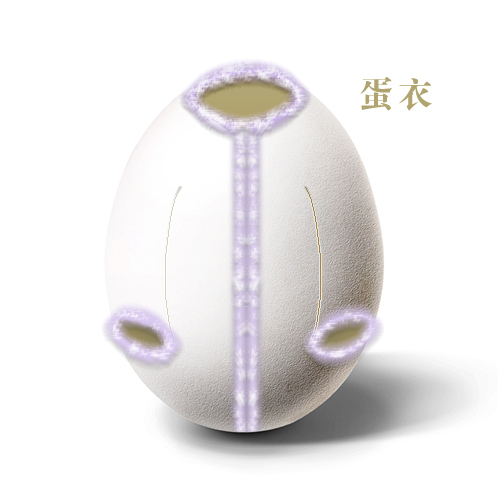 ᣺uƷp