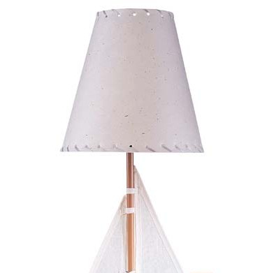 �˿�ӂ���ϲ�g�Ŀɐ��_��