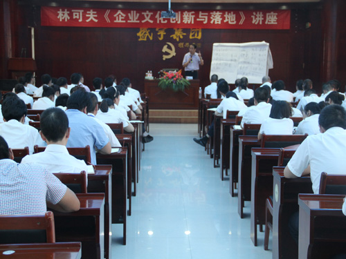 盛宇集團(tuán)特邀林可夫進(jìn)行《企業(yè)文化創(chuàng)新與落地》講座