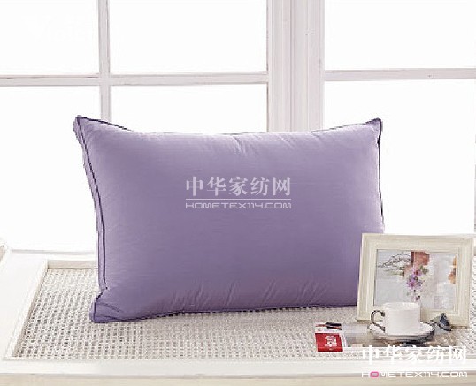 紫羅蘭伴你走過冬日時光