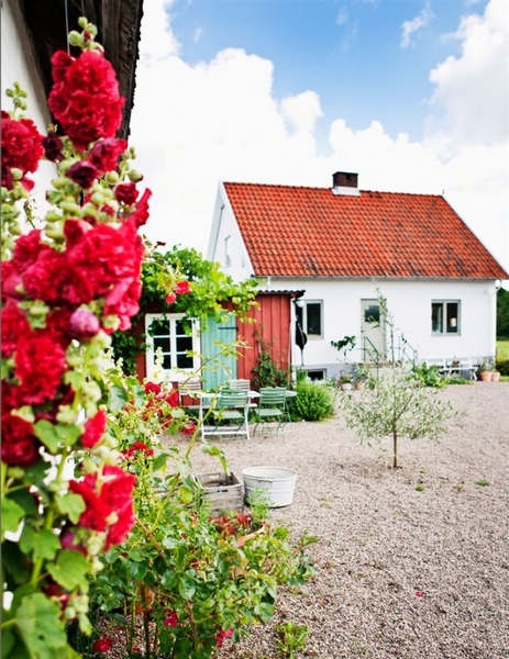 安娜的牧場之家(一)