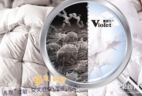ޱϵxԓθΣ