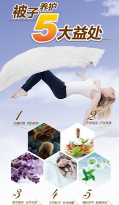 艾萊依家紡：一條絕世羽絨被是如何煉成