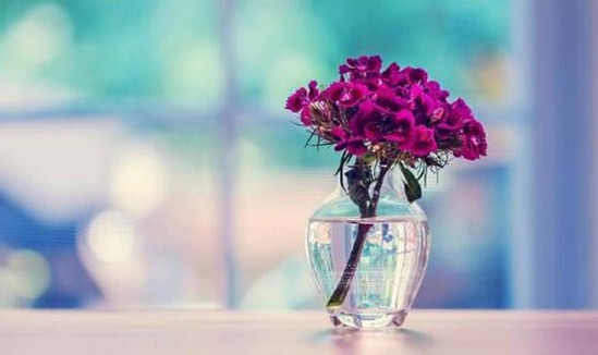 _mҼz˲gỬڻ