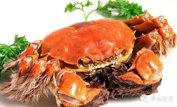 ԡÂĴlззSʳзȯзë