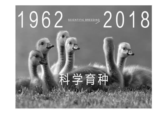 Ҽmq¾p